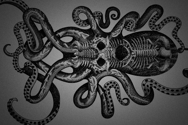Замена hydra