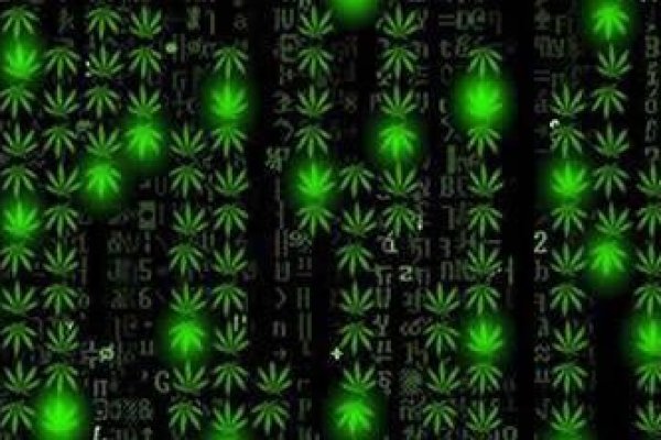 Как войти на кракен